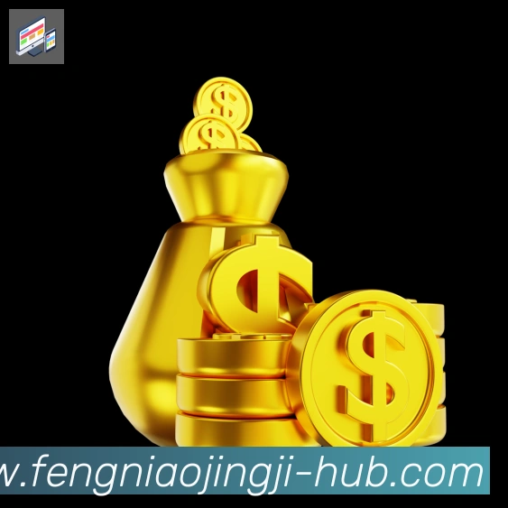 未来规划